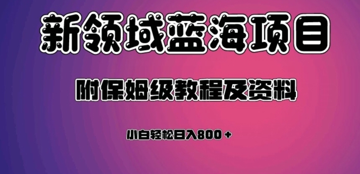 虚拟资源蓝海领域新项目，轻松日入800＋，附保姆级教程及资料-柚子资源网