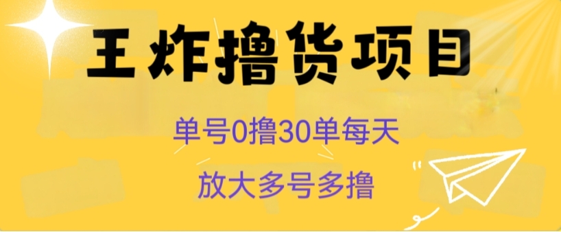 王炸撸货项目，单号0撸30单每天，多号多撸【揭秘】-柚子资源网