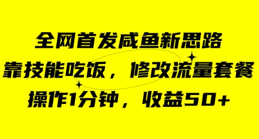 咸鱼冷门新玩法，靠“技能吃饭”，修改流量套餐，操作1分钟，收益50+-柚子资源网