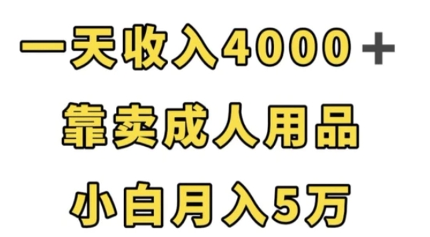 一天收入4000+，靠卖成人用品，小白轻松月入5万【揭秘】-柚子资源网