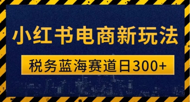 税务师小红书电商新玩法，知识撸金稳定300+-柚子资源网