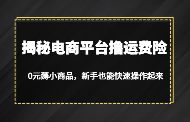 揭秘电商平台撸运费险，0元薅小商品，新手也能快速操作起来-柚子资源网