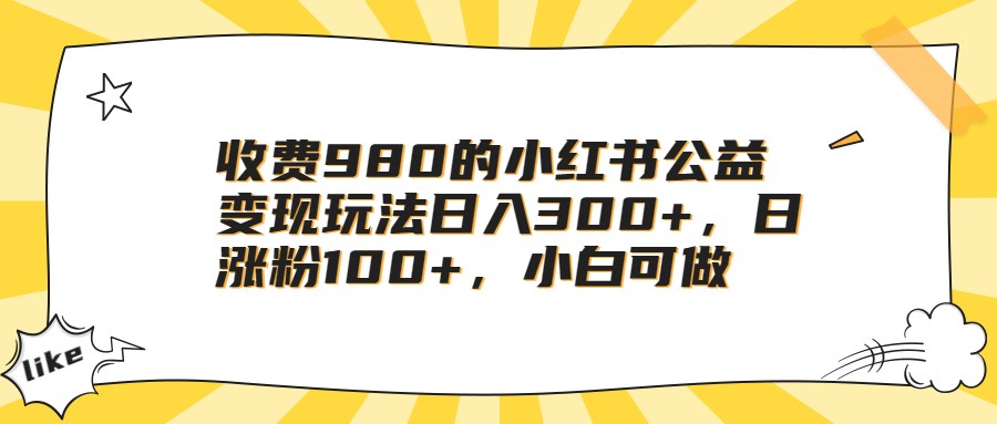 收费980的小红书公益变现玩法日入300+，日涨粉100+，小白可做-柚子资源网