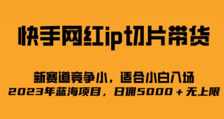 快手网红ip切片新赛道，竞争小，适合小白 2023蓝海项目-柚子资源网