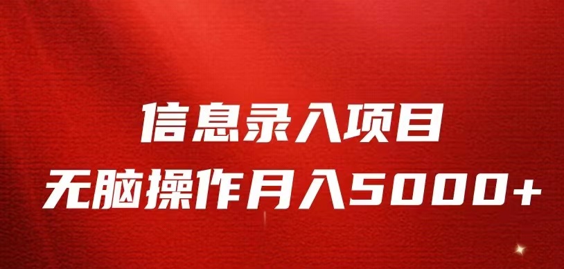 信息录入返佣项目，小白无脑复制粘贴，月入5K+-柚子资源网