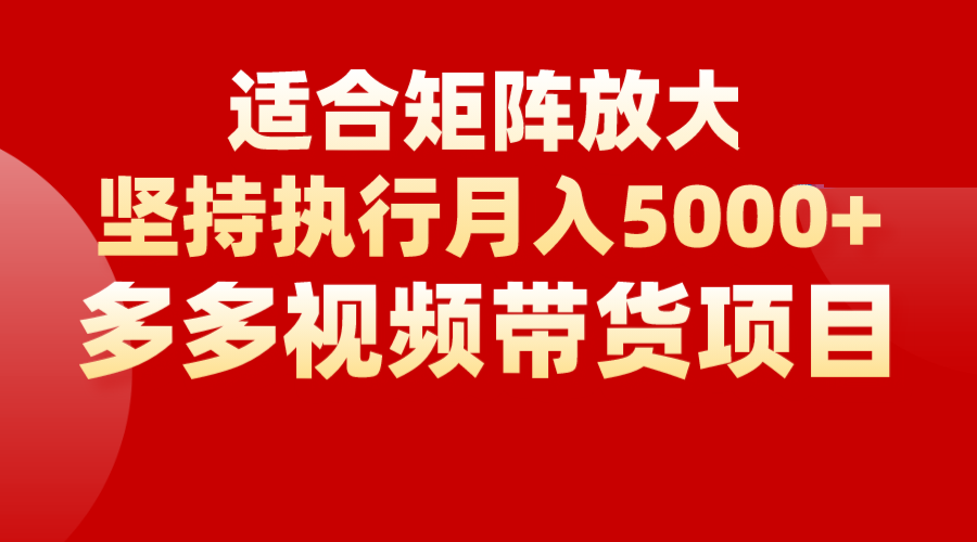 矩阵操作月入5000+，多多视频带货项目，适合新手，也适合老手放大-柚子资源网