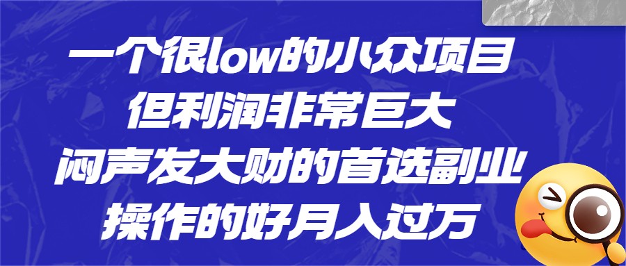 一个很low的小众项目，但利润非常巨大，闷声发大财的首选副业，月入1W+-柚子资源网