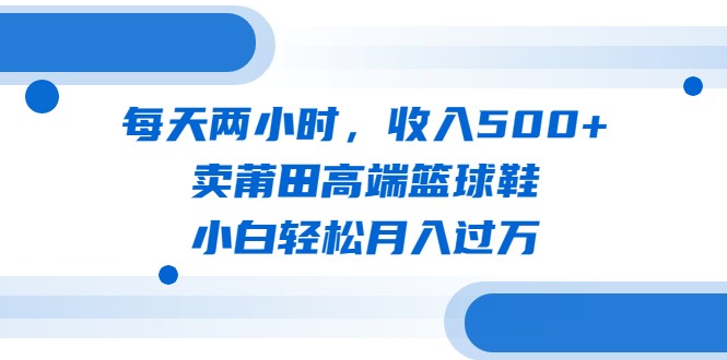 每天两小时，收入500+，卖莆田高端篮球鞋，小白轻松月入过万-柚子资源网