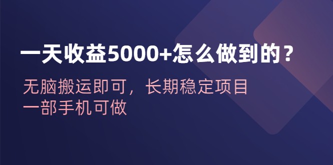 一天收益5000+怎么做到的？无脑搬运即可，长期稳定项目，一部手机可做-柚子资源网