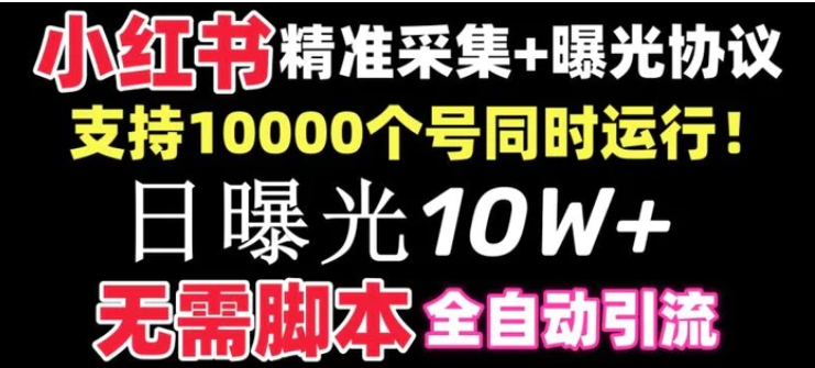 【价值10万！】小红书全自动采集+引流协议一体版！无需手机，支持10000个号同时运行-柚子资源网