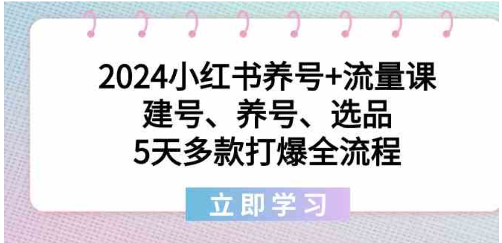 2024小红书养号+流量课：建号、养号、选品，5天多款打爆全流程-柚子资源网