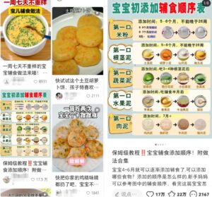 婴儿辅食虚拟资料项目思路，无门槛轻松上手操作-柚子资源网