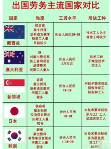 国外劳务派遣：一单净赚3万，无本信息差赚钱-柚子资源网