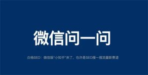 微信问一问是什么、怎么入驻、SEO引流怎么玩-柚子资源网