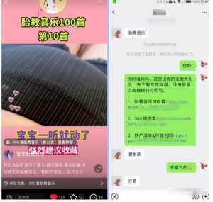 小红书胎教音乐副业项目，拉新+引流轻松搞定，玩法无私分享给你-柚子资源网