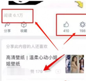 如何利用美女壁纸公众号项目赚取流量主收益？|美女壁纸公众号项目的利润分析-柚子资源网