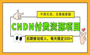 CNDN付费资源项目-柚子资源网