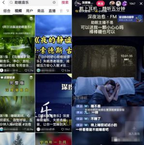 抖音蓝海刚需赛道副业思路，助眠音乐号变现，0基础也能轻松操作！-柚子资源网