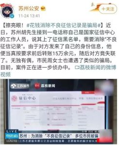 征信逾期修复项目，合法合规，分享给有缘人-柚子资源网