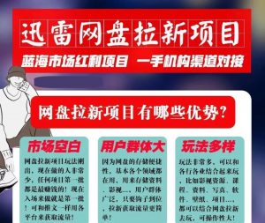 迅雷网盘拉新项目，通过短视频轻松引流，每月搞几个W-柚子资源网