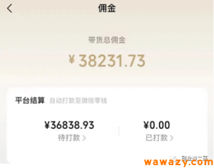 短视频带货：每月收入3万多的副业一部手机你也可以操作-柚子资源网