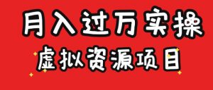 虚拟资源项目实操月入过万-柚子资源网