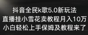 抖音全民k歌5.0新玩法，直播挂小雪花卖教程月入10万，小白轻松上手，保…-柚子资源网