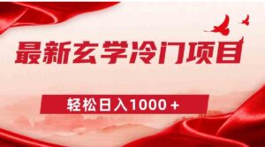 最新冷门玄学项目，零成本一单268，轻松日入1000＋-柚子资源网