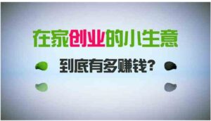 在家创业，日引300+创业粉，一年收入30万，闷声发财的小生意，比打工强-柚子资源网