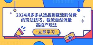 （9037期）2024拼多多从选品到截流到付费的玩法技巧，截流自然流量玩法，高投产玩法-柚子资源网