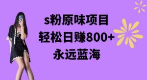 （9072期）s粉原味项目，轻松日赚800+，永远的蓝海项目，无脑操作也能直接出单人…-柚子资源网