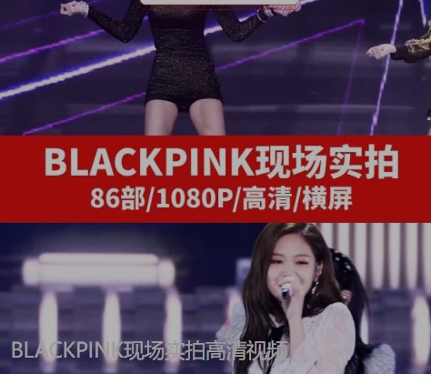 BLACKPINK现场实拍高清视频-柚子资源网