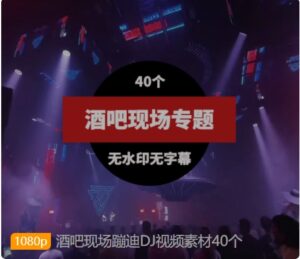 酒吧现场蹦迪DJ视频素材40个-柚子资源网