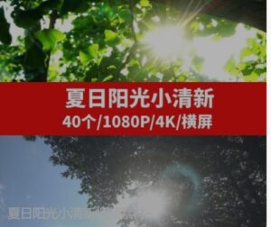 夏日阳光小清新视频素材--柚子资源网