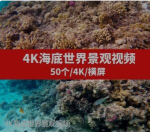 4K海底世界景观视频-柚子资源网