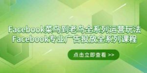 （9065期）Facebook-菜鸟到老鸟全系列运营玩法+Facebook-专业广告投放全系列课程-柚子资源网