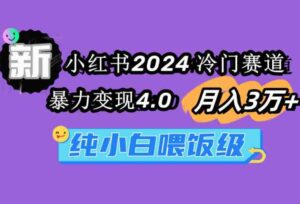 （9134期）小红书2024冷门赛道月入3万+暴力变现4.0纯小白喂饭级-柚子资源网