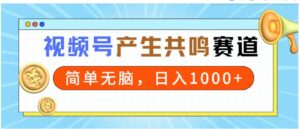 （9133期）2024年视频号，产生共鸣赛道，简单无脑，一分钟一条视频，日入1000+-柚子资源网