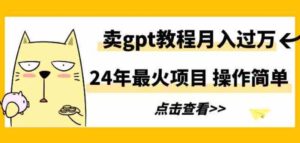 （9180期）24年最火项目，卖gpt教程月入过万，操作简单-柚子资源网