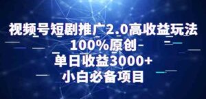 （9236期）视频号短剧推广2.0高收益玩法，100%原创，单日收益3000+，小白必备项目-柚子资源网