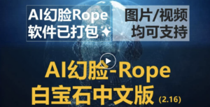 AI换脸免费软件Rope中文汉化白宝石版本全新UI界面，修复部分已知错误【附下载地址与详细使用教程】-柚子资源网