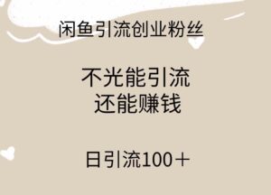 （9290期）闲鱼精准引流创业粉丝，日引流100＋，引流过程还能赚钱-柚子资源网