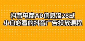 （9299期）抖音电商-AD信息流28式，小白必看的抖音广告投放课程-29节-柚子资源网