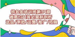 （9333期）拼多多培训班第34期：做高价女装必盈利剖析选品/测款/运营/推广/拓展-柚子资源网