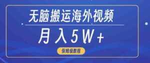 （9361期）无脑搬运海外短视频，3分钟上手0门槛，月入5W+-柚子资源网