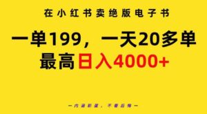 （9401期）在小红书卖绝版电子书，一单199一天最多搞20多单，最高日入4000+教程+资料-柚子资源网