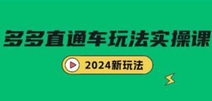 （9412期）多多直通车玩法实战课，2024新玩法（7节课）-柚子资源网