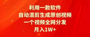 （9472期）利用一款软件，自动混剪生成原创视频，一个视频全网分发，月入1W+附软件-柚子资源网