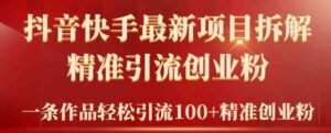 （9447期）2024年抖音快手最新项目拆解视频引流创业粉，一天轻松引流精准创业粉100+-柚子资源网