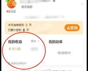 批改作业小兼职，8元一小时？3小时50+【亲测苦力】-柚子资源网